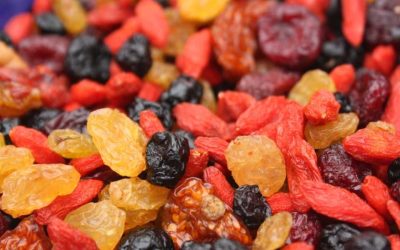 Mélange goji et fruits secs : le combo parfait pour votre santé ?